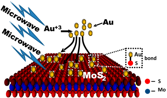 gold nanoparticles on MoS