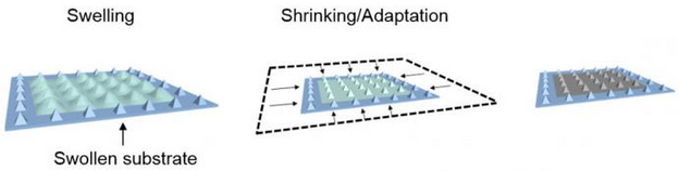 graphene integration