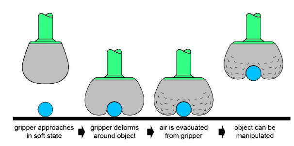 Balloon gripper shop