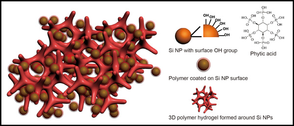 hydrogel_silicon_nanoparticles