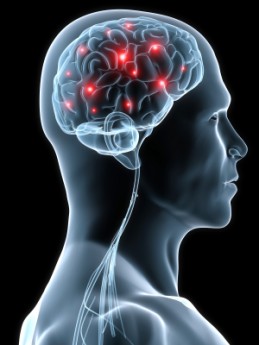 Can a protein called SIRT1 in your head boost brain power, learning and memory?