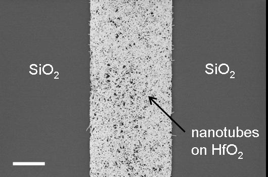 ibm_nanotubes_1