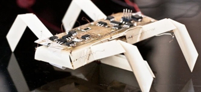 insect-like robot