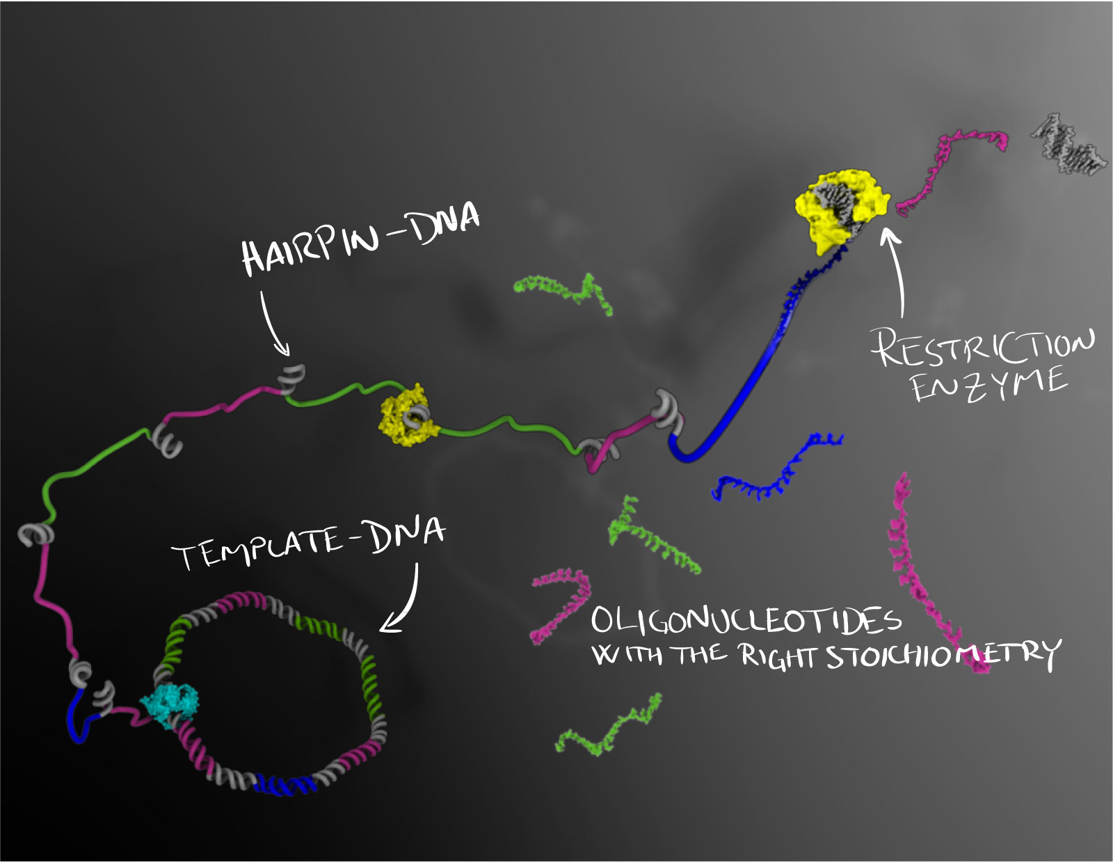 mass_production_dna mass_production_dna