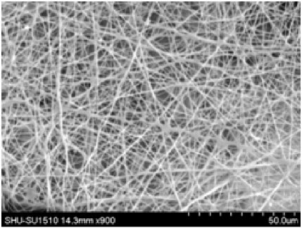 micrograph of chitosan