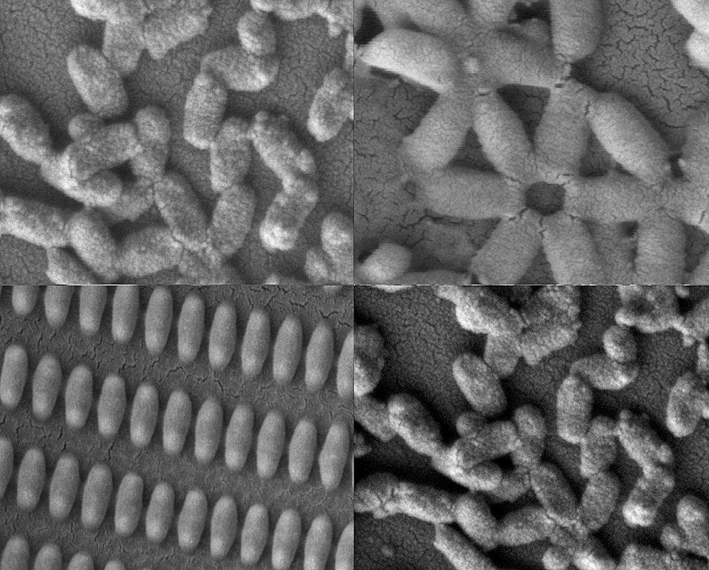 mit_coated_nanoparticles
