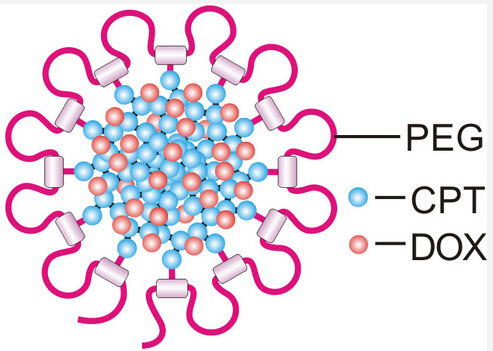 nanodaisy
