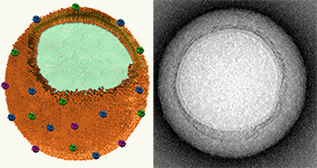 nanosponge-720