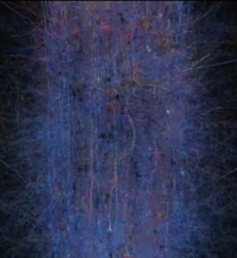 neocortical_column1-471x512