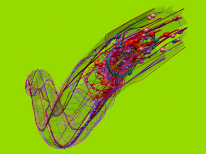 openworm-nervous-system-3d-green