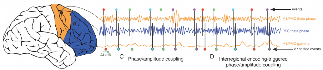 phase-amplitude communication
