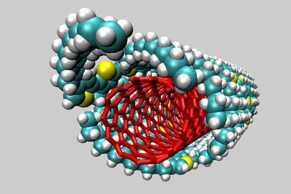 Polimer coated nanotubes