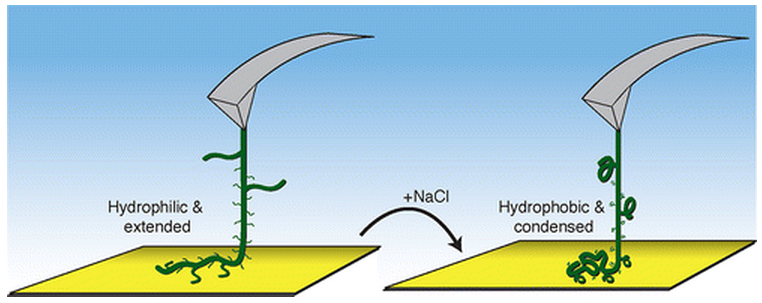 responsive polymers