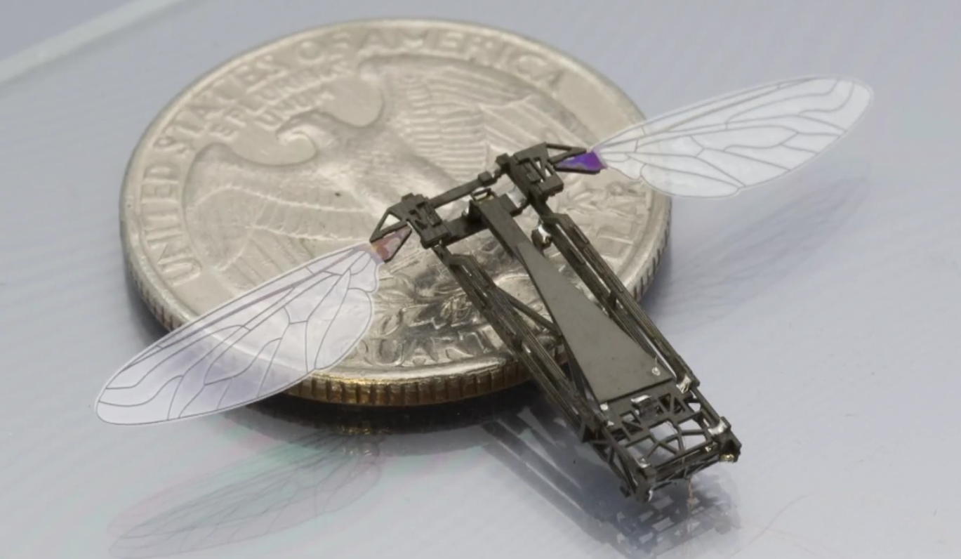 robobee robobee