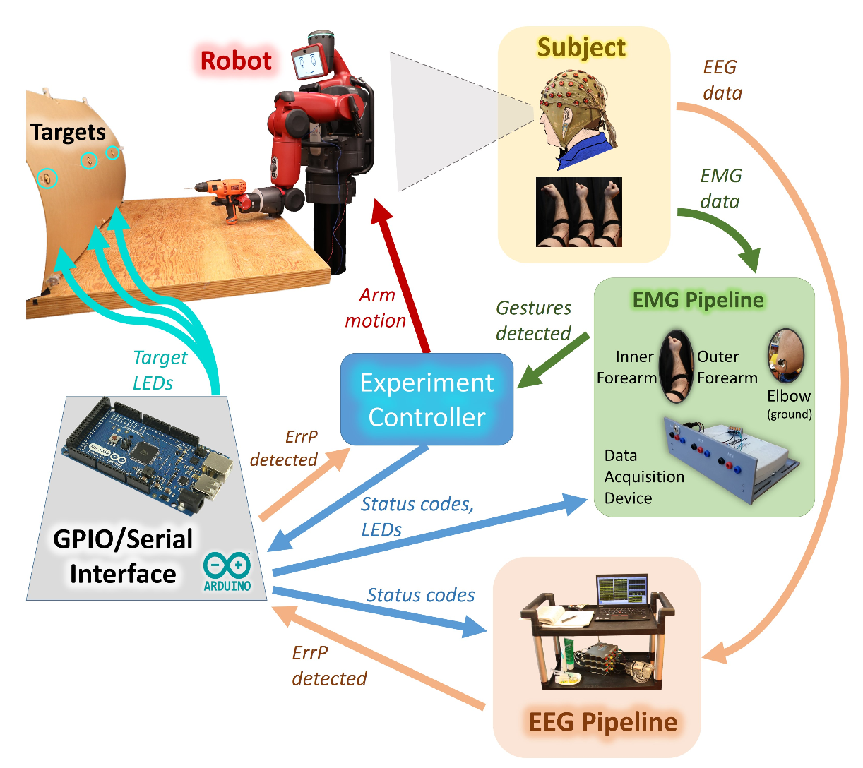 robot EEG-EMG control system