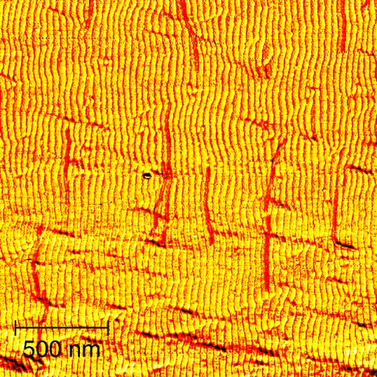 self_aligning_dna_wires