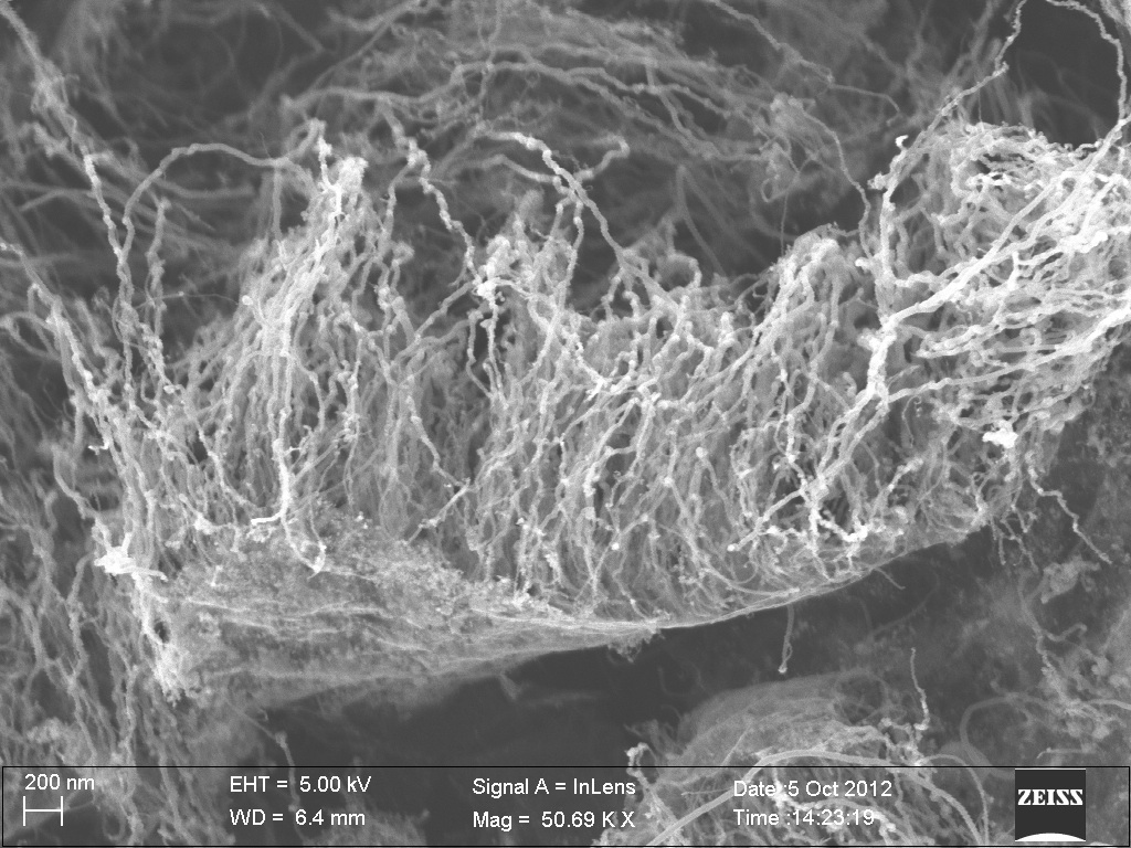 single_layer_graphene_nanotubes