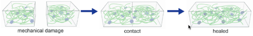 stretchable ionic conductor
