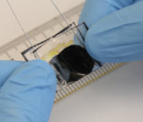 supercapaciitor sample