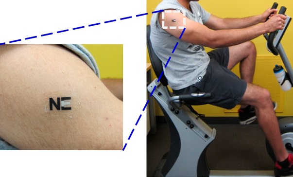 tattoo_biosensor_acs tattoo_biosensor_acs