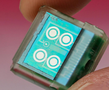 under-skin chip