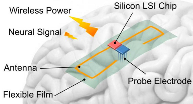 wireless power to brain