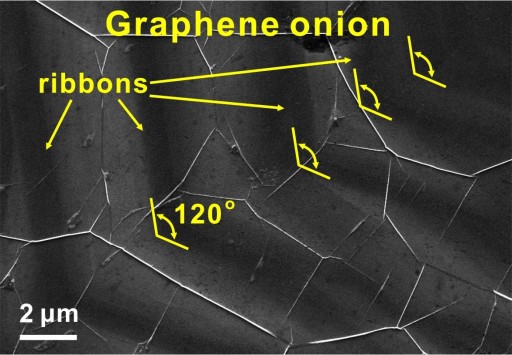 0722_ONION-2-web