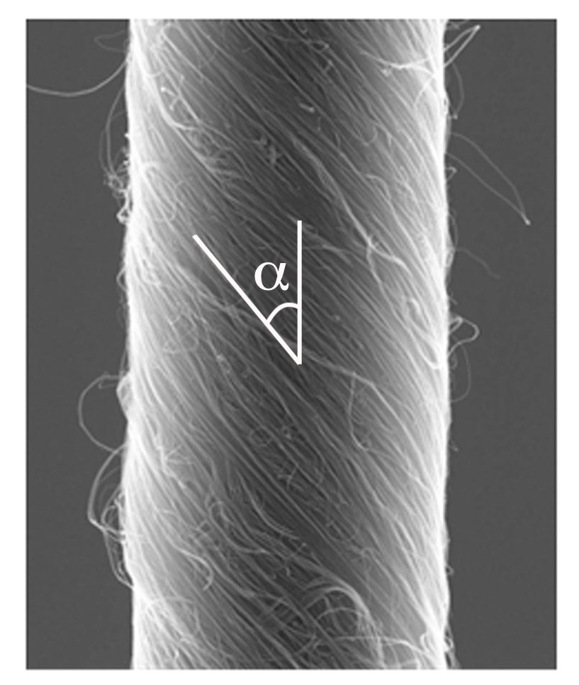 36812 nanotubemotor