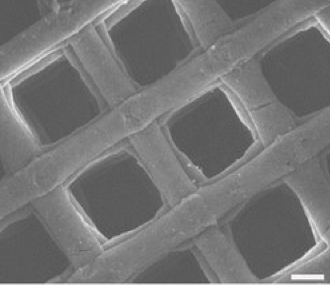 3D printed graphene aerogel microlattice