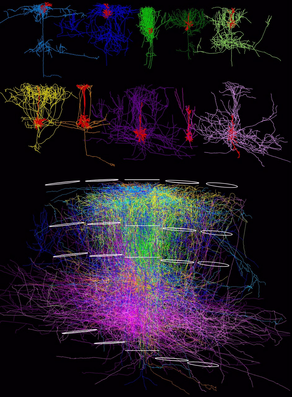 AXON1_Cover_2ndTrial