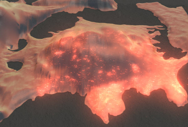 3D rendered correlative AFMPALM image
