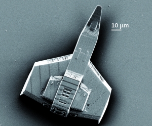 Nanoscribe_Hellcat 2013_001