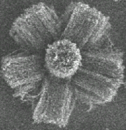 3-D nanotubes 3-D nanotubes