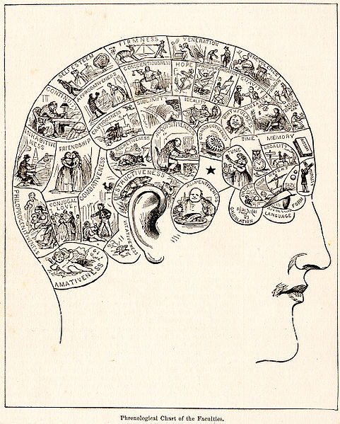 481px-PhrenologyPix
