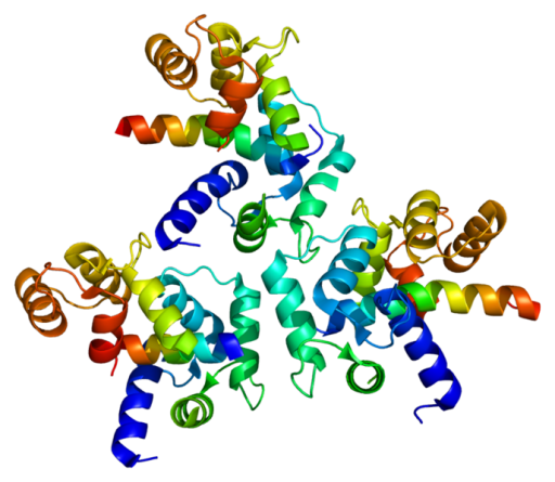 688px-Protein_CACNA1D_PDB_2be6