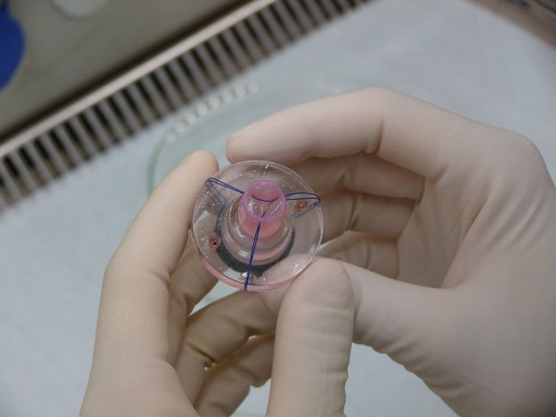 800px-HertValve