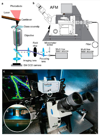 AFM-SMLM instrument