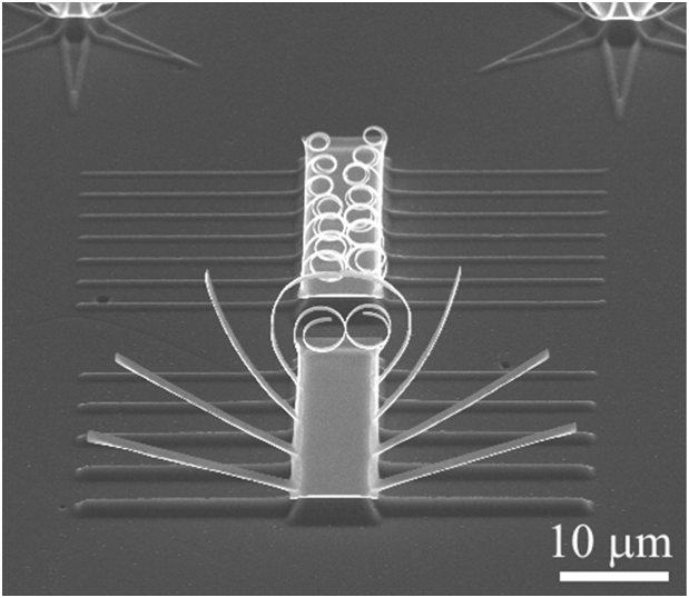 Folding with strong-width dependent curvatures of metal thin films