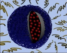Acid Particle