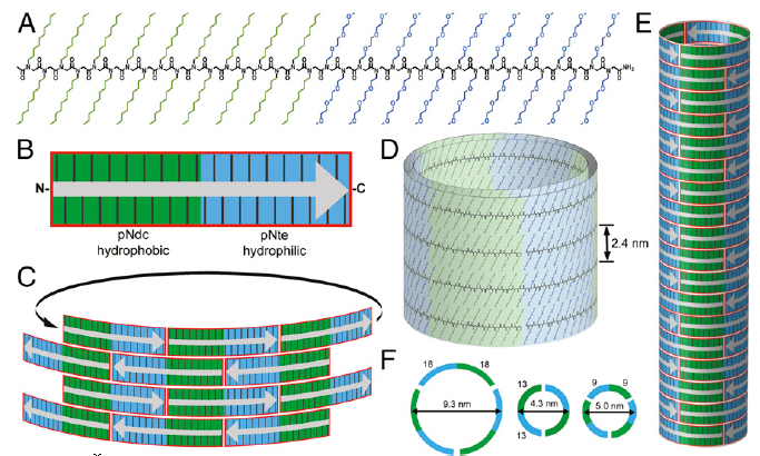 Assembling peptoid nanotubes