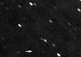 Asteroid Buzz