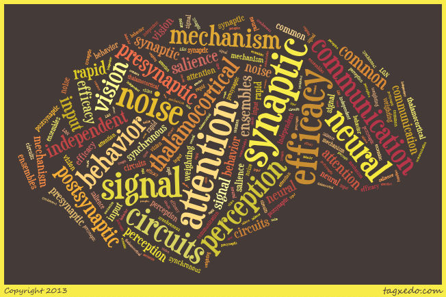 AttnBrainWordle