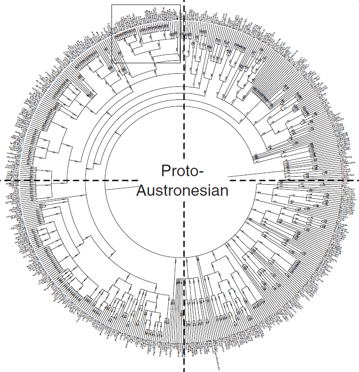 Austronesian phylogenetic tree