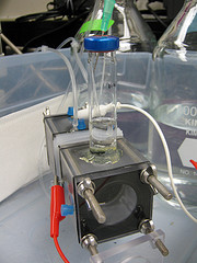 Bacterial-Hydrolysis Bacterial-Hydrolysis
