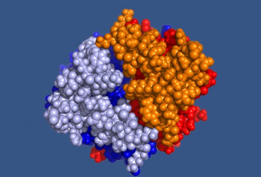 Barrellprotein Model