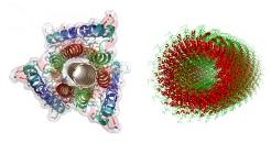 Bio-Design Bio Design
