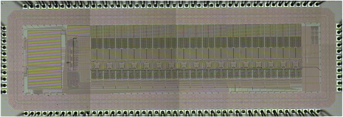 BioBolt_Chip