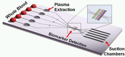 Blood Biochip
