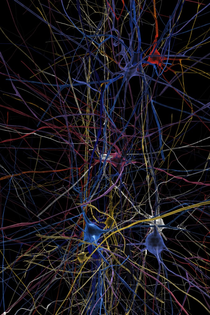 BlueBrain_web