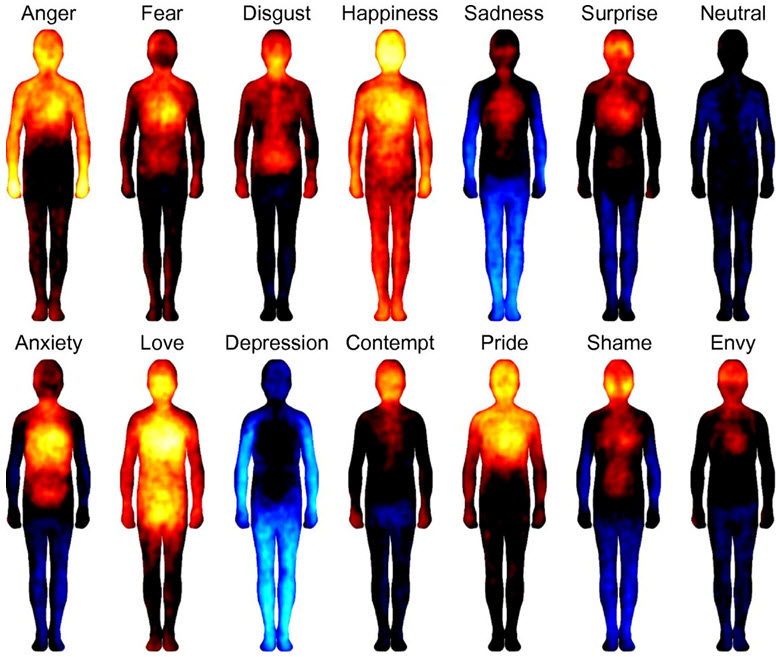 Bodily topography of basic emotions